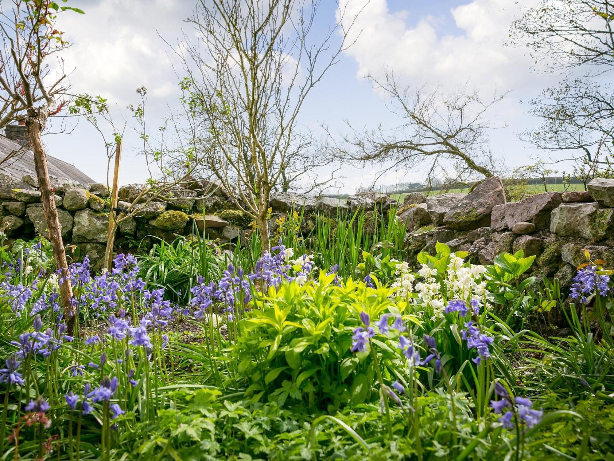 Villa Teal Llangennith Esterno foto